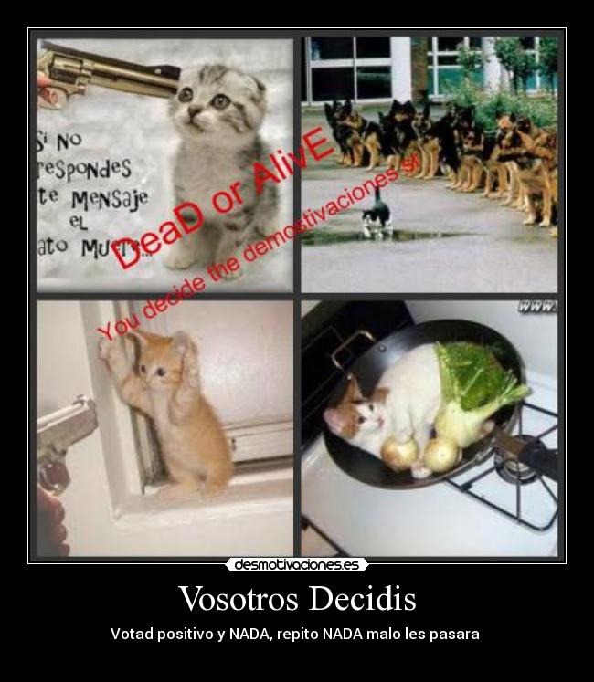 Vosotros Decidis - Votad positivo y NADA, repito NADA malo les pasara
