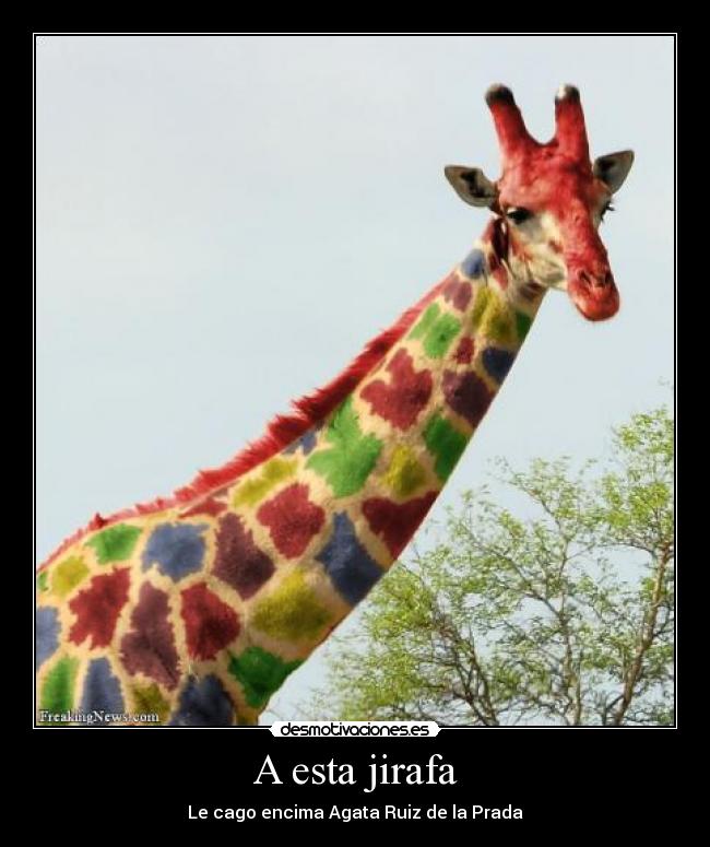 A esta jirafa - Le cago encima Agata Ruiz de la Prada