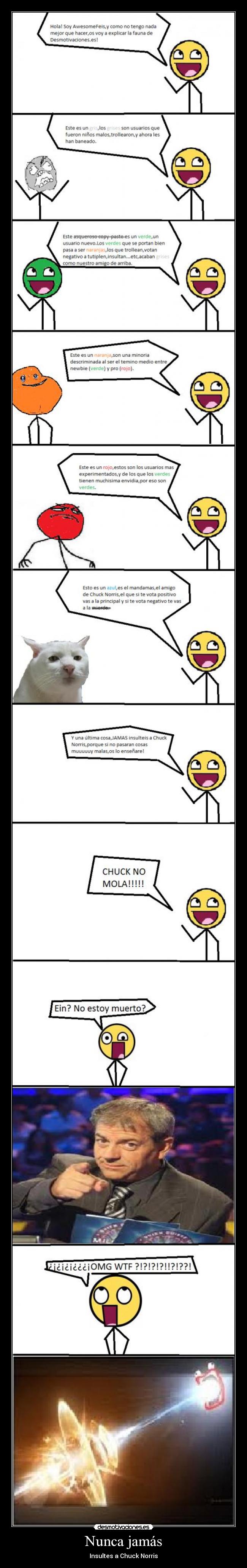 Nunca jamás - Insultes a Chuck Norris