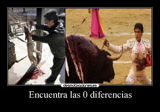 Encuentra las 0 diferencias -