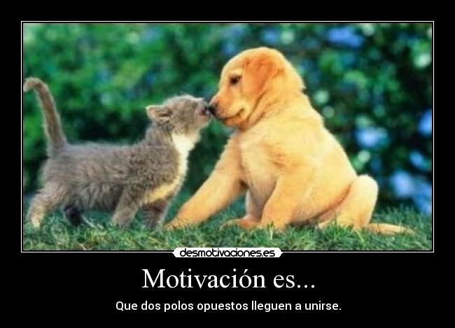 Motivación es... - 