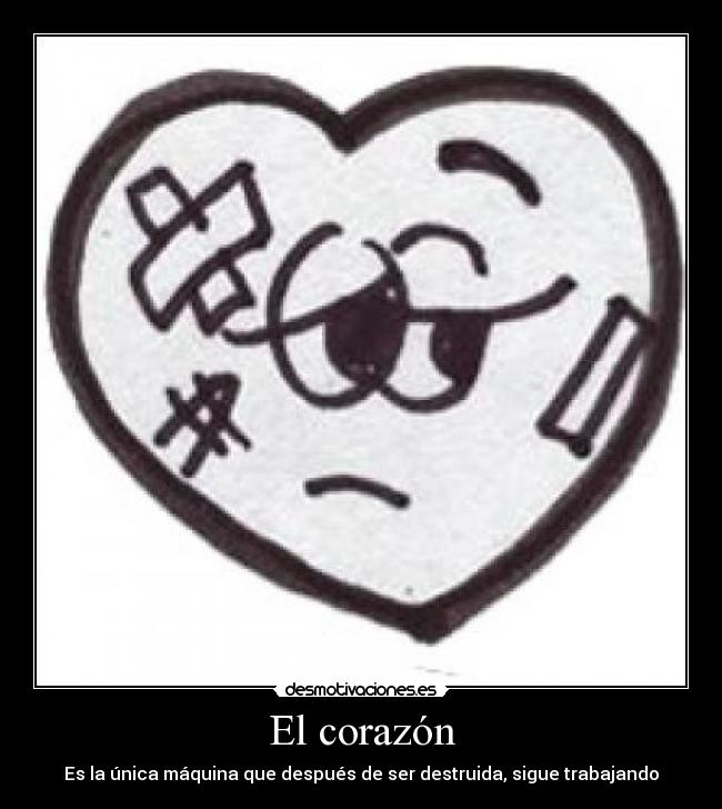 El corazón -