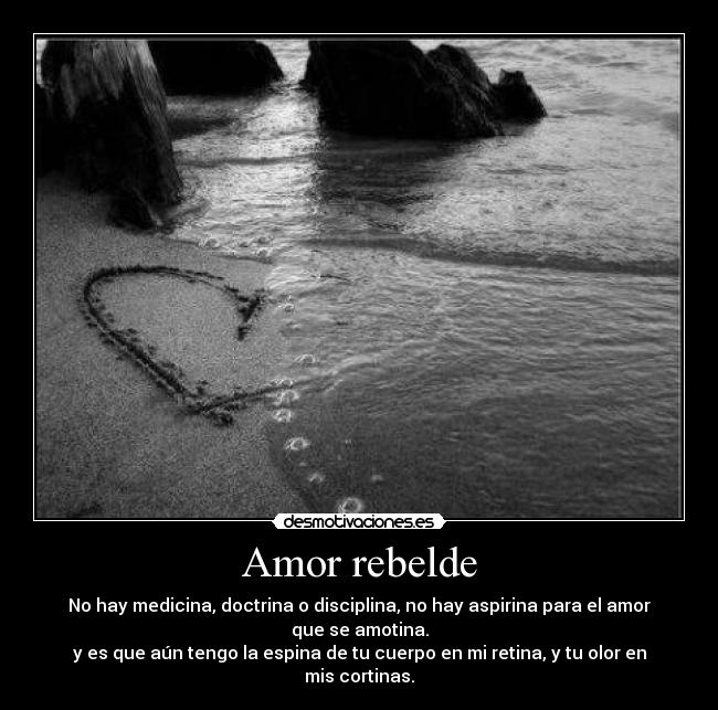 Amor rebelde - No hay medicina, doctrina o disciplina, no hay aspirina para el amor que se amotina.
y es que aún tengo la espina de tu cuerpo en mi retina, y tu olor en mis cortinas.
