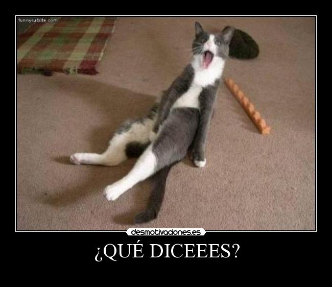 carteles que dices desmotivaciones