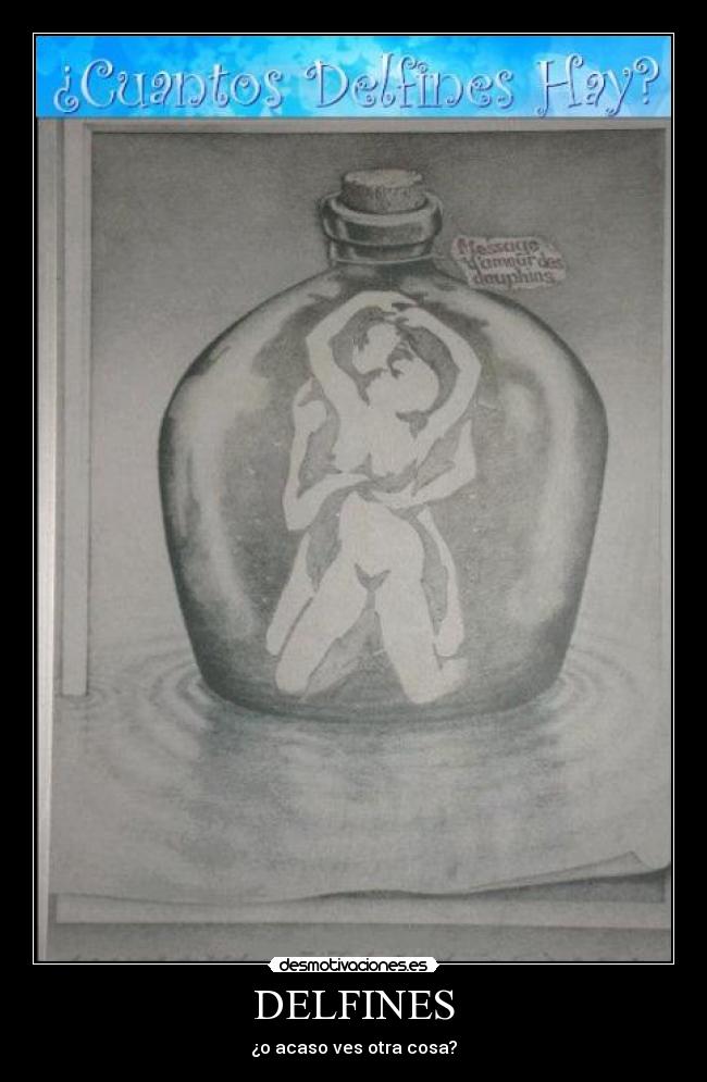 DELFINES - ¿o acaso ves otra cosa?