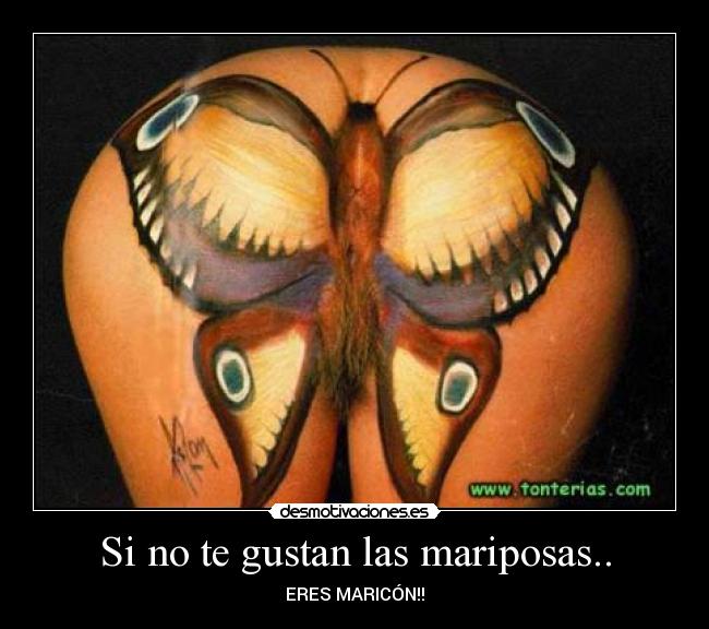 Si no te gustan las mariposas.. - 