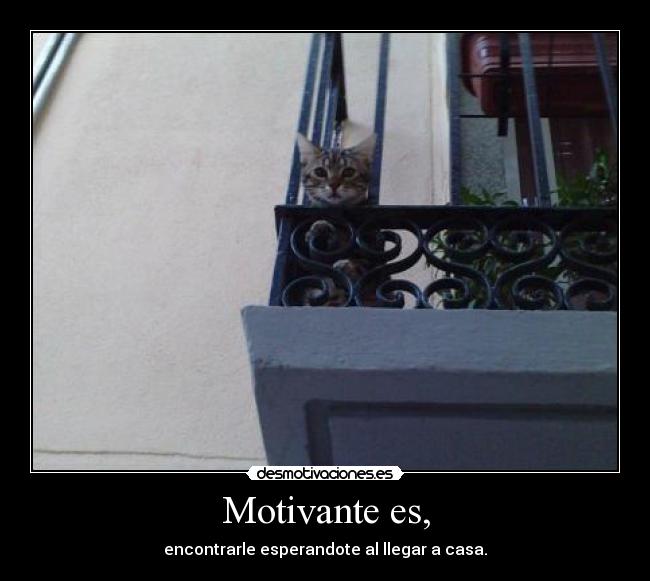 Motivante es, - encontrarle esperandote al llegar a casa.