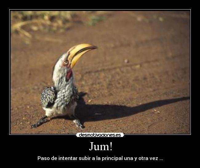 Jum! - Paso de intentar subir a la principal una y otra vez ...