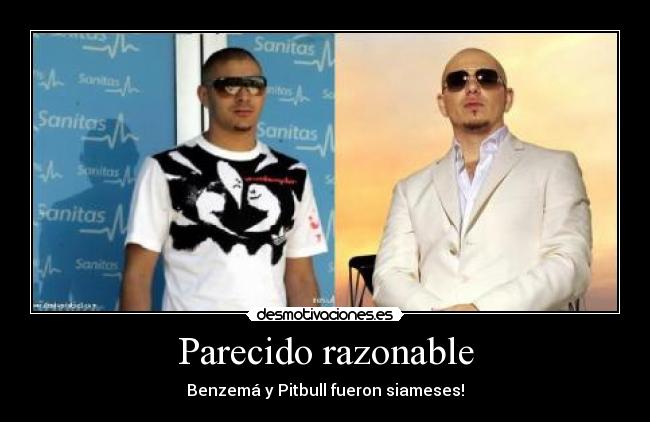 Parecido razonable - Benzemá y Pitbull fueron siameses!