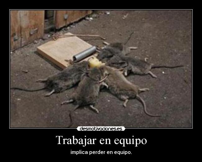 Trabajar en equipo - implica perder en equipo.