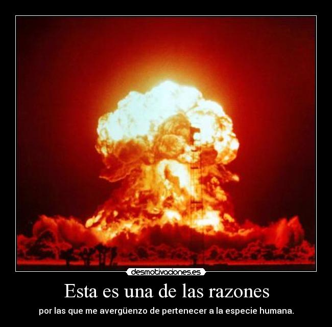 Esta es una de las razones - por las que me avergüenzo de pertenecer a la especie humana.