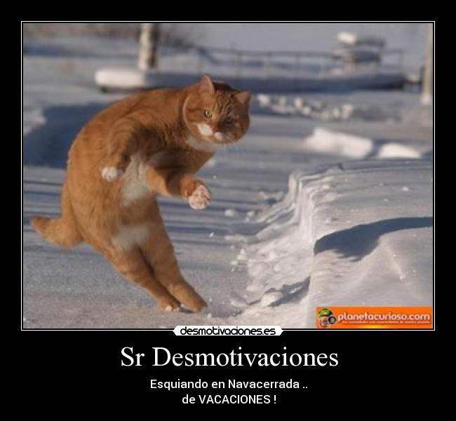 Sr Desmotivaciones - Esquiando en Navacerrada ..
de VACACIONES !