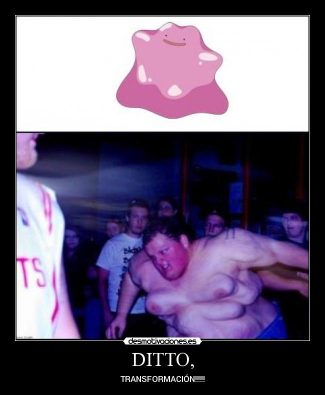 DITTO, -