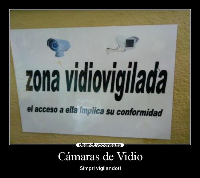 Cámaras de Vidio - Simpri vigilandoti