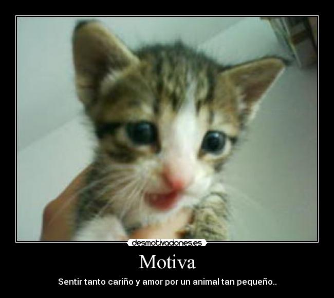 Motiva -