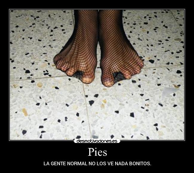 Pies - 