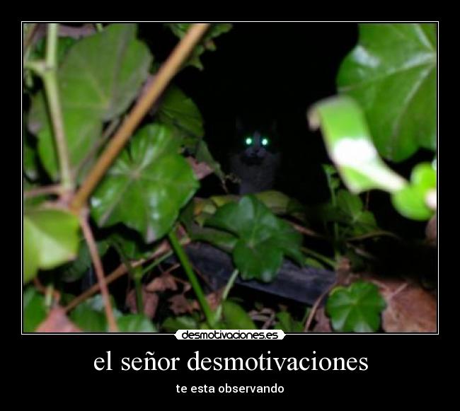el señor desmotivaciones - te esta observando