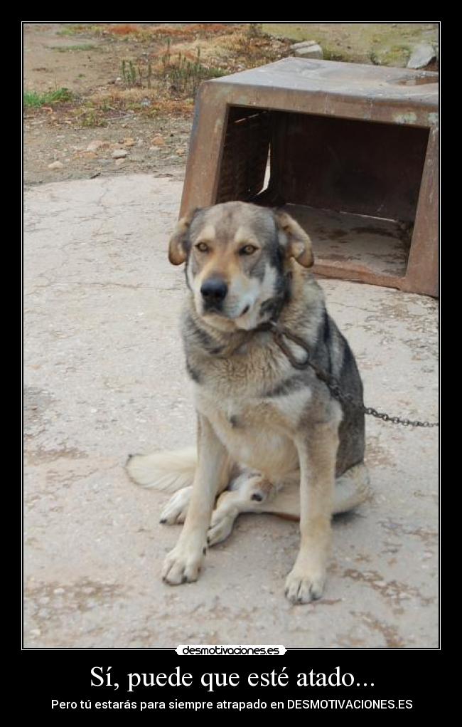 Sí, puede que esté atado... -