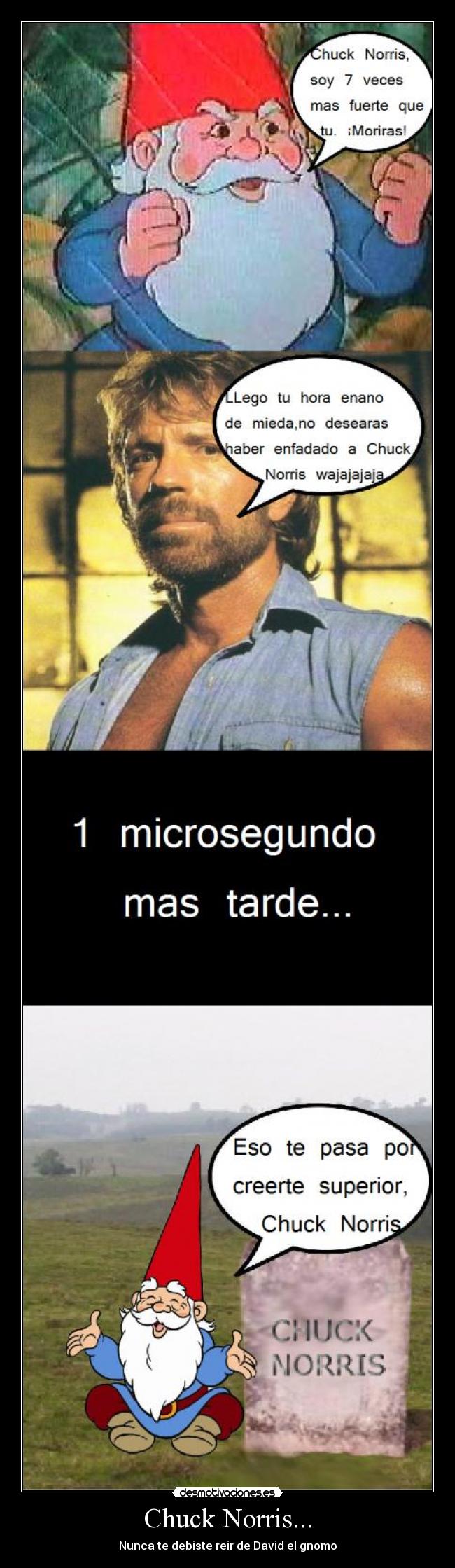 carteles chuck norris david gnomo veces mas fuerte que nunca deviste reir desmotivaciones