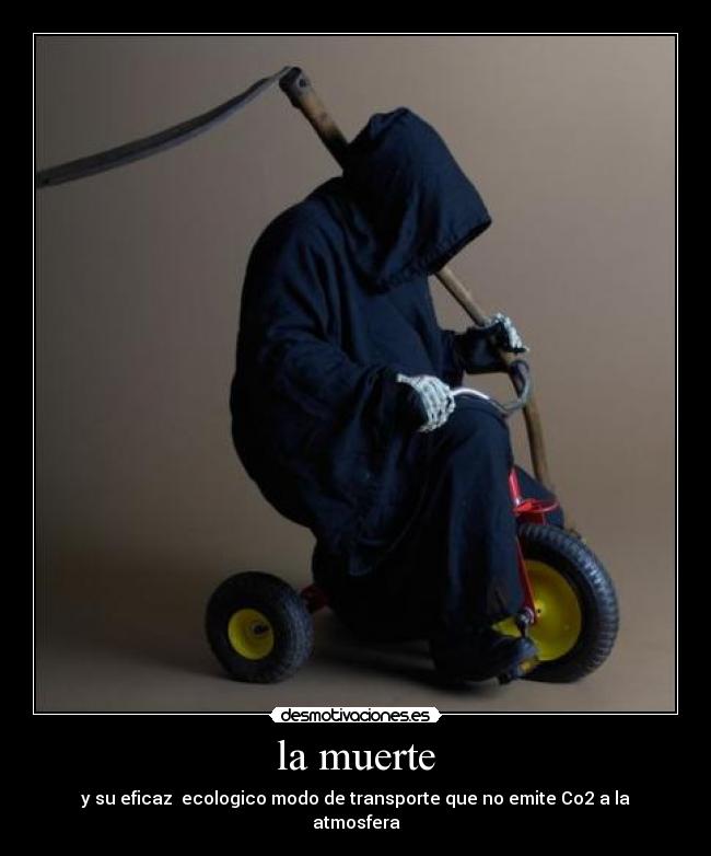 carteles muerte muerte desmotivaciones