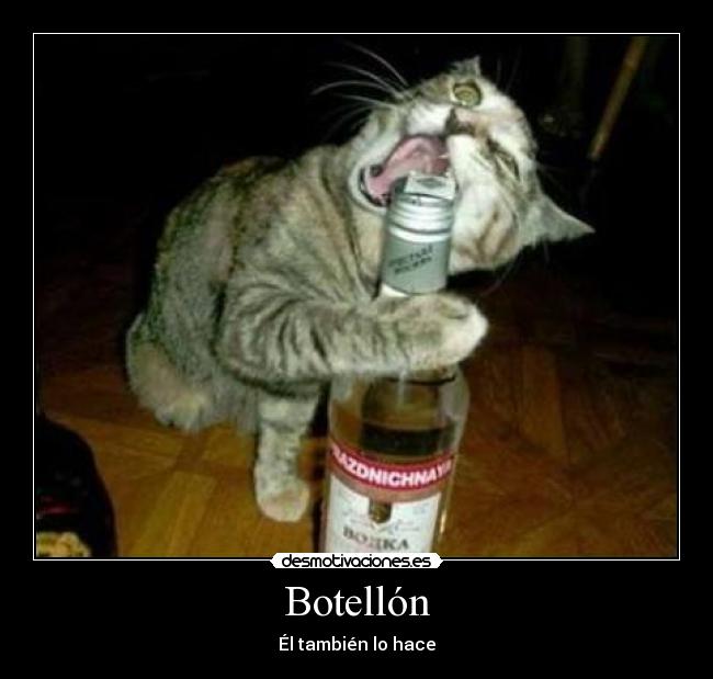 Botellón - 