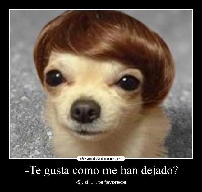 -Te gusta como me han dejado? - 