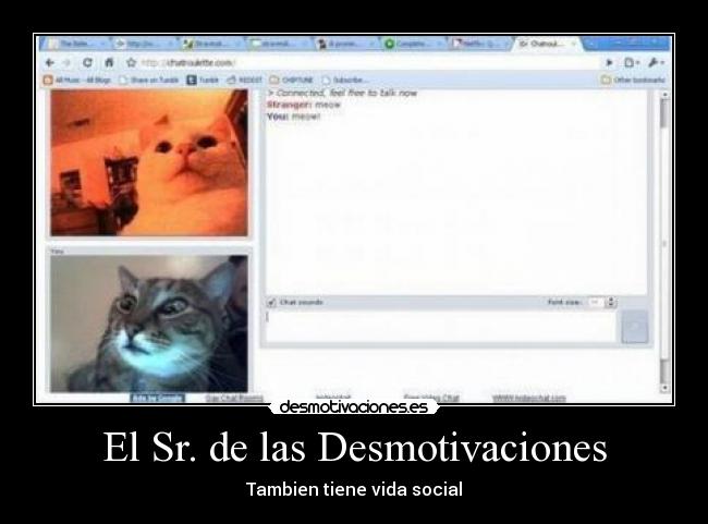 El Sr. de las Desmotivaciones -