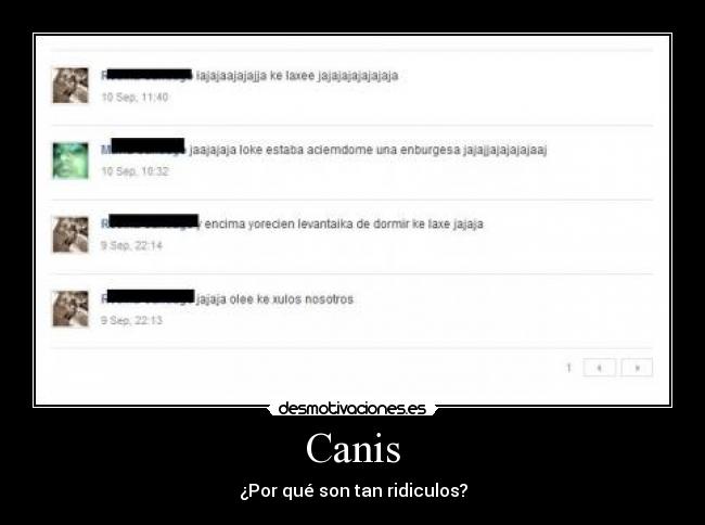 Canis -
