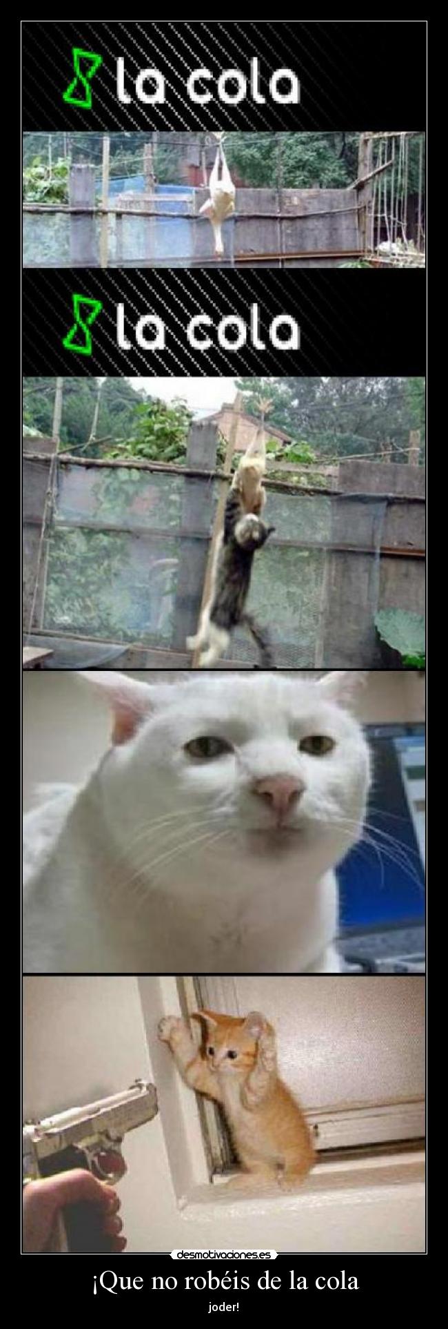 ¡Que no robéis de la cola - 