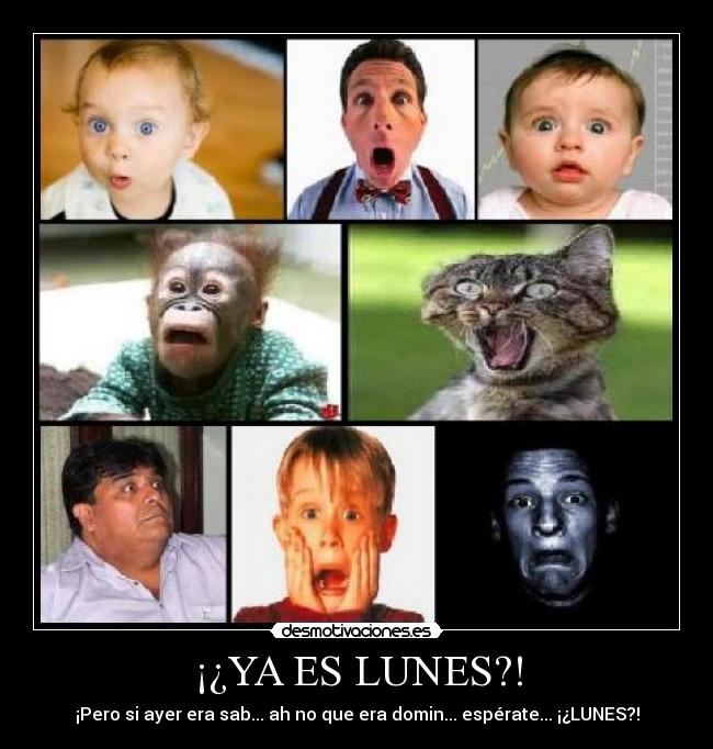 ¡¿YA ES LUNES?! - 