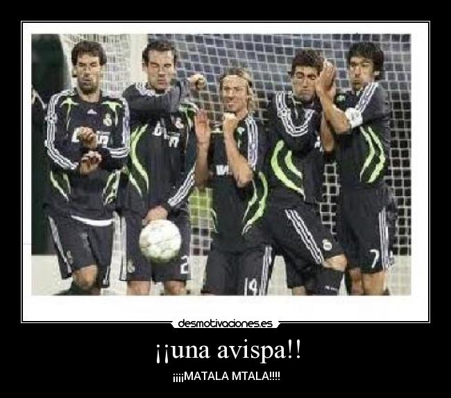 ¡¡una avispa!! - ¡¡¡¡MATALA MTALA!!!!