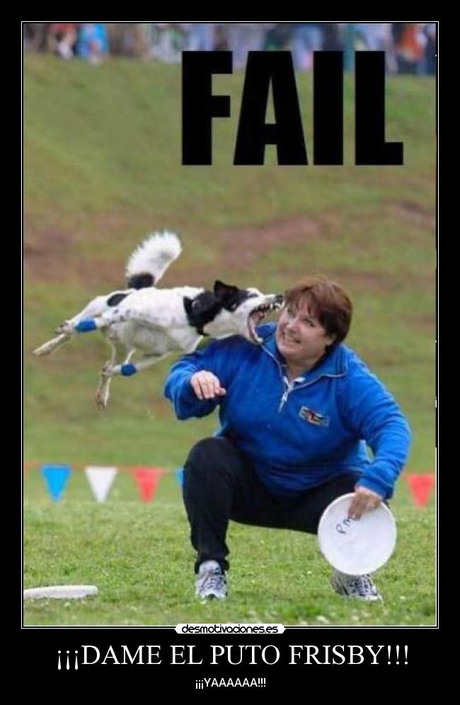 ¡¡¡DAME EL PUTO FRISBY!!! - ¡¡¡YAAAAAA!!!