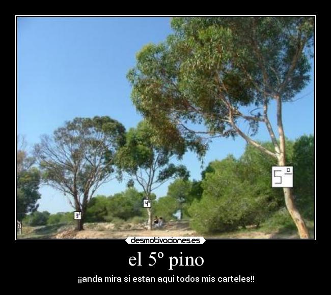 el 5º pino - ¡¡anda mira si estan aqui todos mis carteles!!