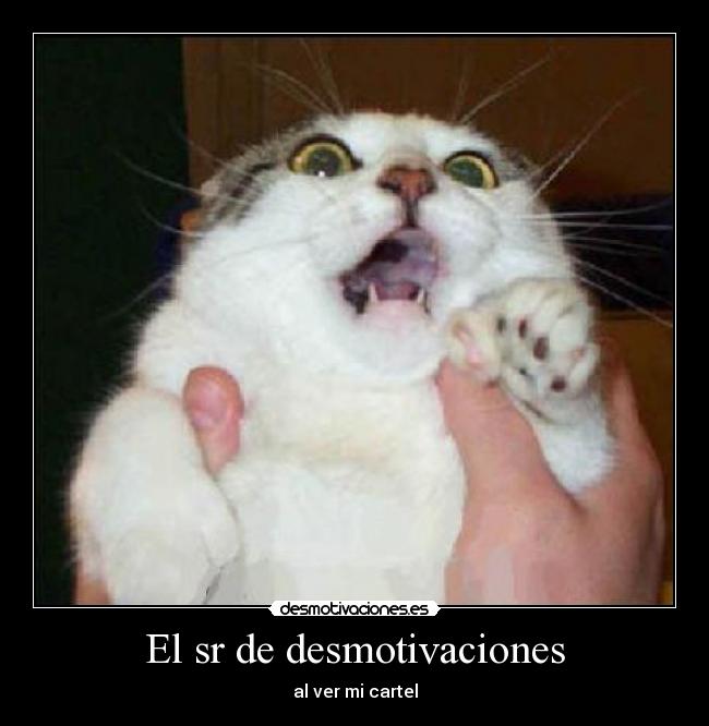El sr de desmotivaciones -