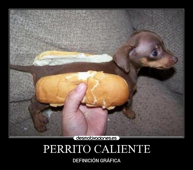 PERRITO CALIENTE -