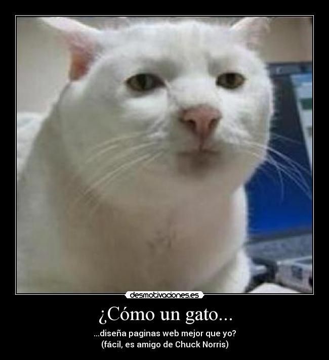 carteles sr desmotivaciones desmotivaciones