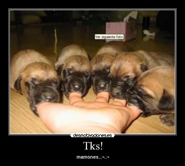 Tks! - mamones...¬..¬