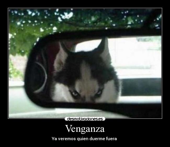 Venganza - 