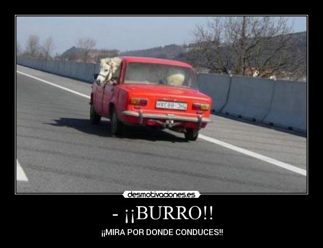 - ¡¡BURRO!! - ¡¡MIRA POR DONDE CONDUCES!!