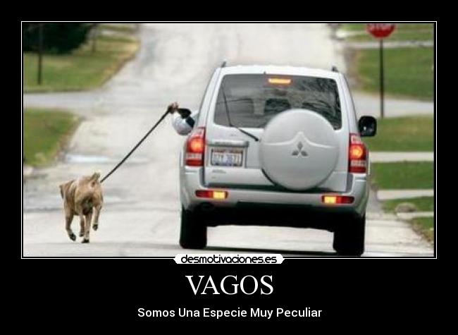 VAGOS - Somos Una Especie Muy Peculiar