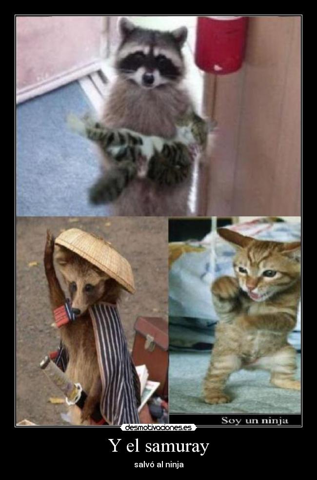Y el samuray - salvó al ninja