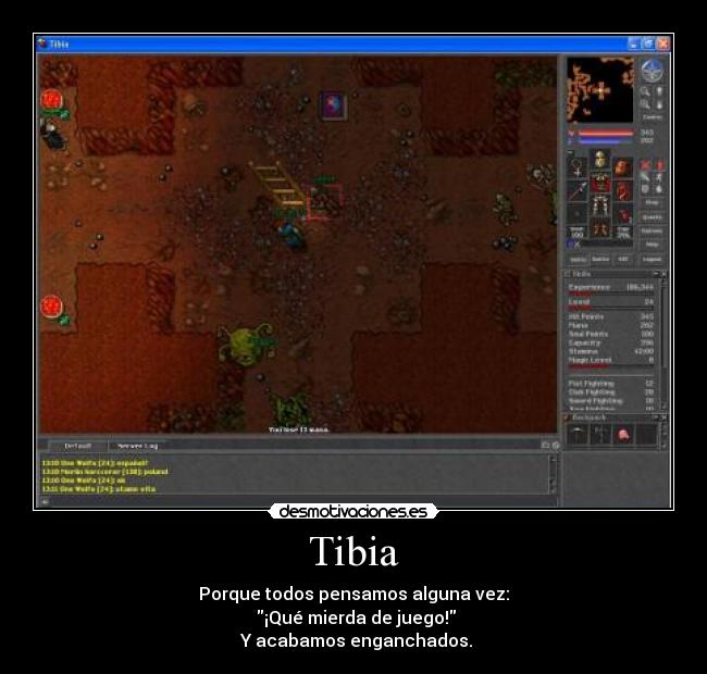Tibia - 