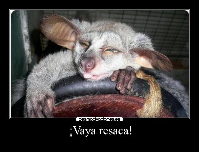 ¡Vaya resaca! -