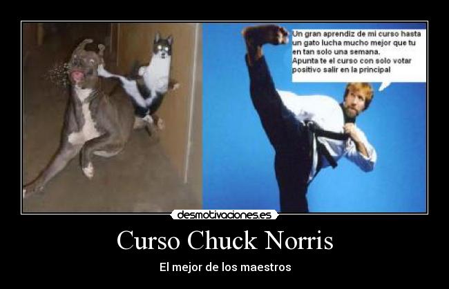 Curso Chuck Norris - 