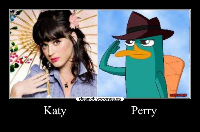Katy                     Perry - 