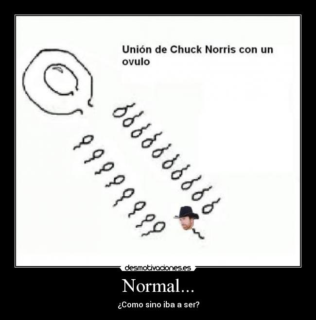 Normal... - 