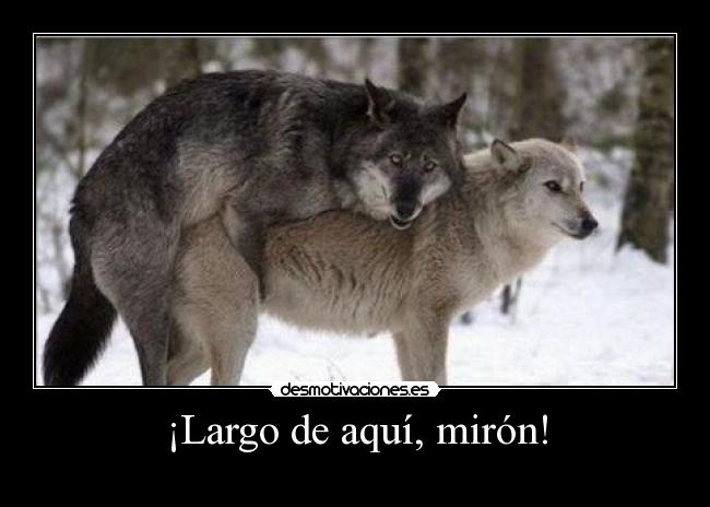 ¡Largo de aquí, mirón! -