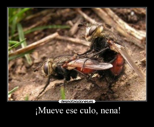 ¡Mueve ese culo, nena! -