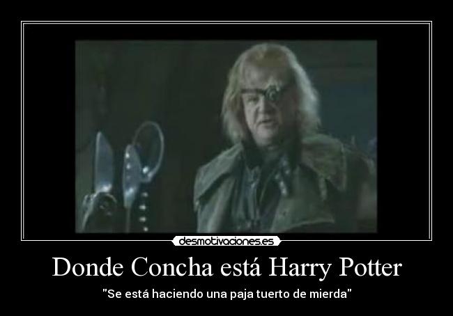 Donde Concha está Harry Potter -