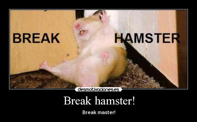Break hamster! -